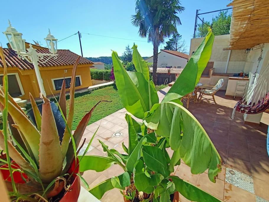 Villa Falconera Apartaments, Gandia A Las Faldas De La Montana Экстерьер фото